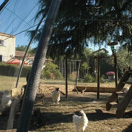Le Termenes * Felines-Termenes